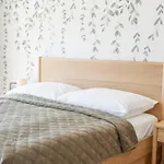 Sky Panorama